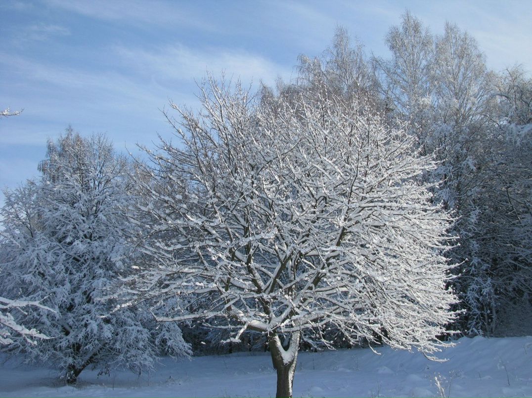 Михаил Приходько | Фастов