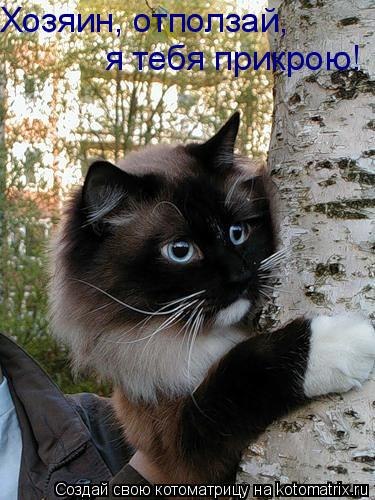 Елена Николаева | Санкт-Петербург