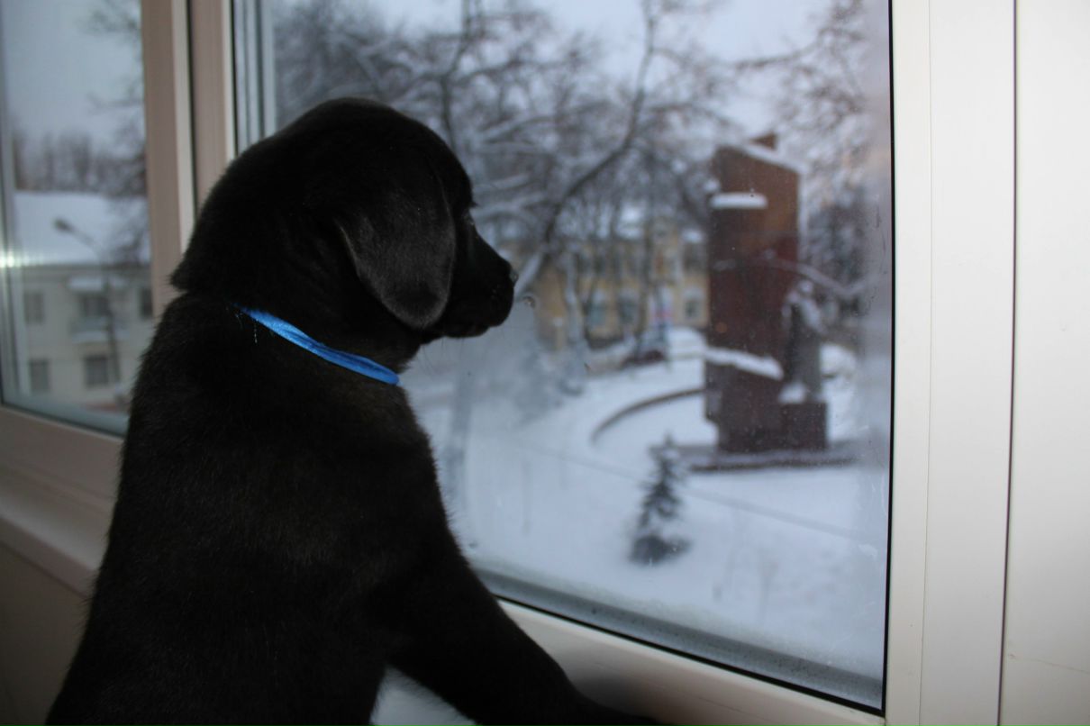 Светлана Мочаловская | Люберцы