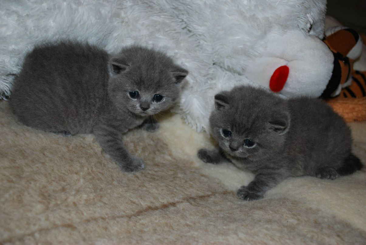 Юлия Давидович | Минск