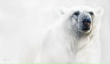 №25 Анастасия Явная : профиль, фото, статус - ВКонтакте
