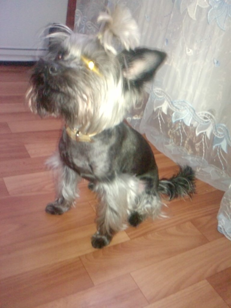 Николай Войталюк | Санкт-Петербург