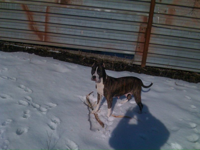 Виктор Пришляк | Кропивницкий / Кировоград