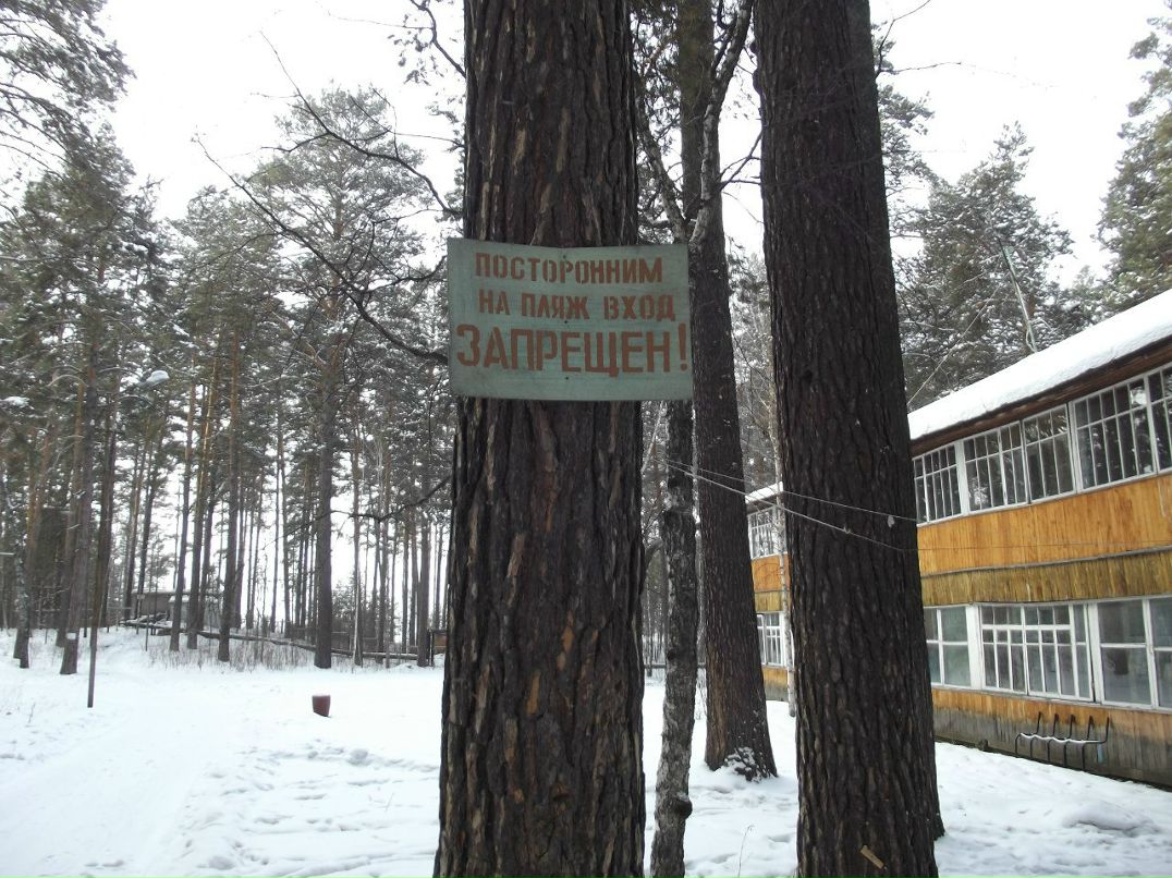 Дмитрий Некрашевич | Новосибирск