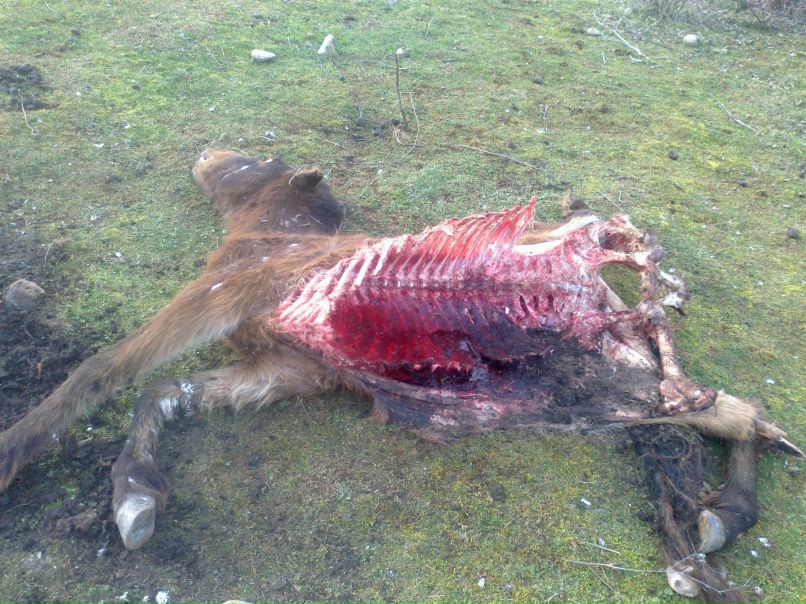 Денис Питеряков | Петрозаводск