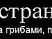 Алина Шостенко | Бердянск