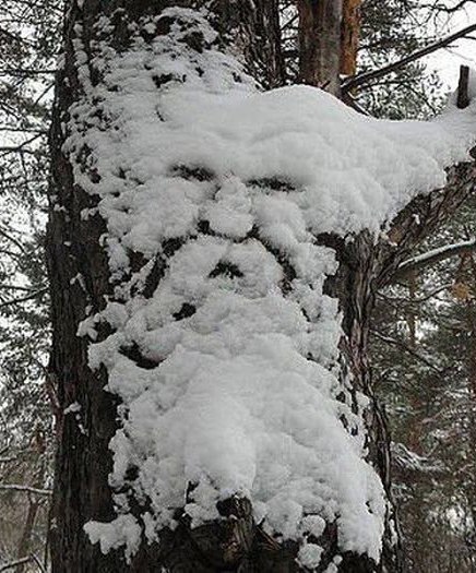 Иван Гуржий | Киев