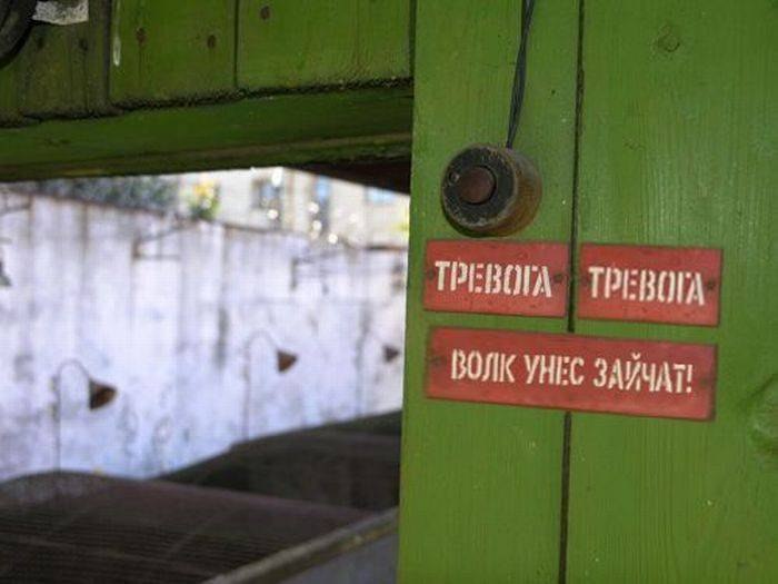 Николай Домакуров sused | Витебск