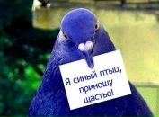 №2 Галина Августова : профиль, фото, статус - ВКонтакте №2 Галина Августова : профиль, фото, статус - ВКонтакте