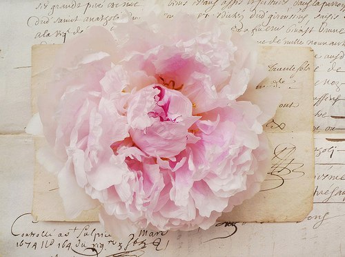 Наталья Лебедева | Киев