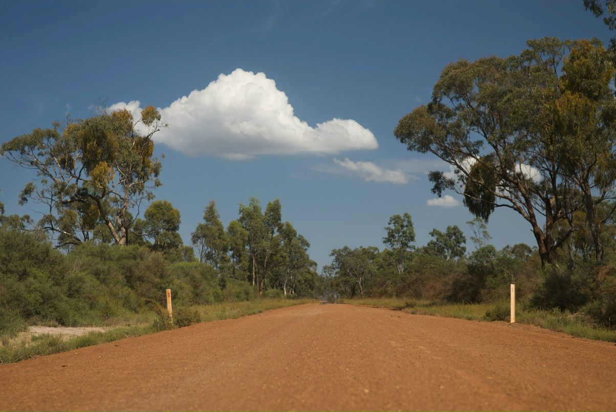 Дрю Святицкий | Melbourne