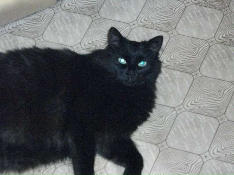 Сергей Паршин ZVEZDEC | Томилино