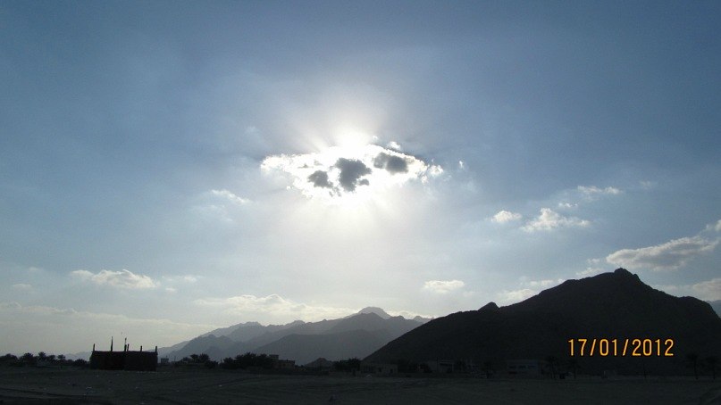 Светлана Александрова | Berlin