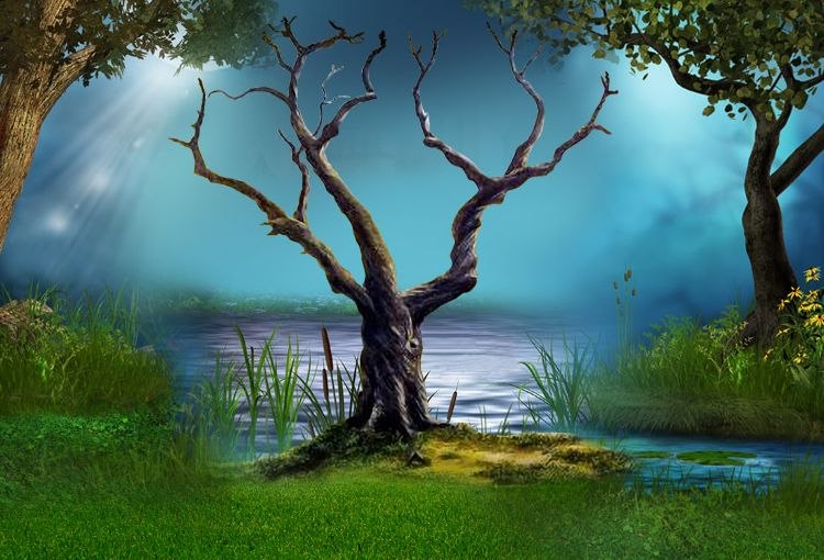 Кристина Скрипко ~kisa~ | Киев