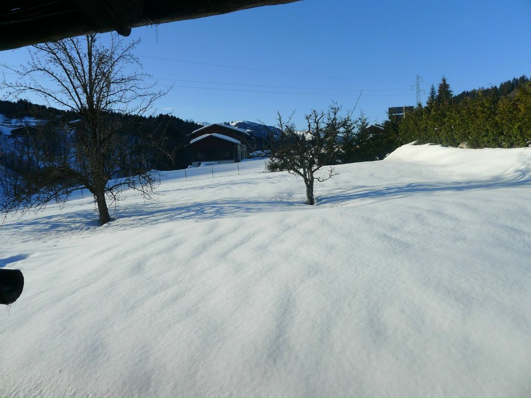 Евгений Ставрогин | Санкт-Петербург