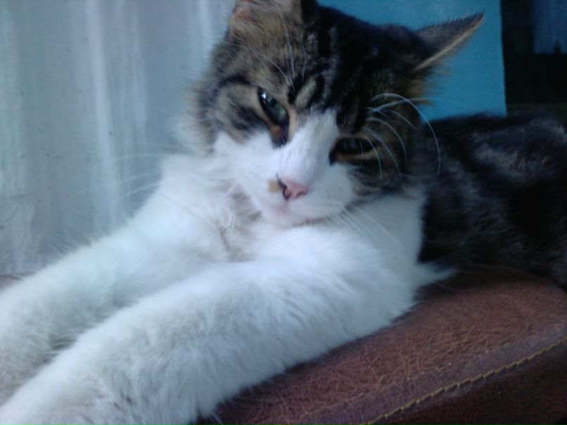 Yuliya Yurasova | Херсон