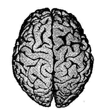 №17, Сергей Петрук, Киев №17, Сергей Петрук, Киев