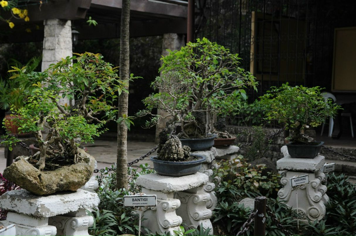 Алексей Куликов | Москва