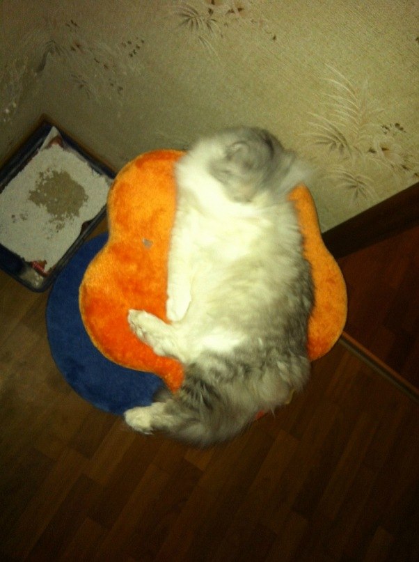 Егор Чистяков | Москва