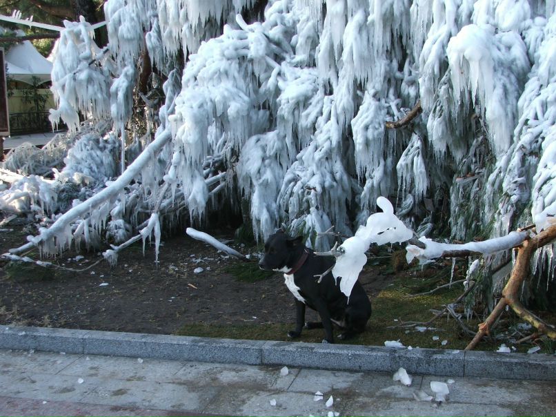 Valentina Tarasevich | Ялта