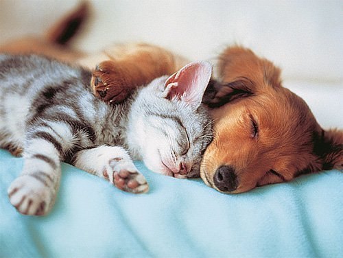 Katrin Gluhova | Севастополь