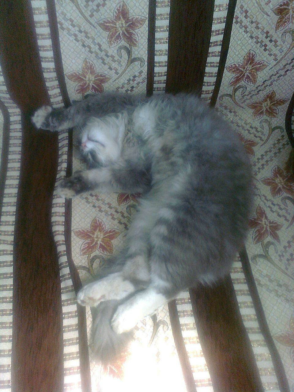 Саша Коновалов | Деражня