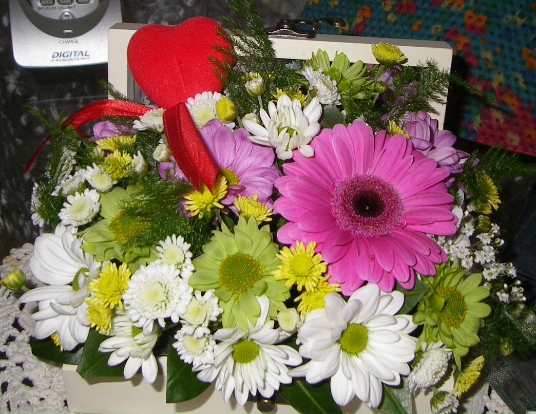 Юлия Когут | Симферополь