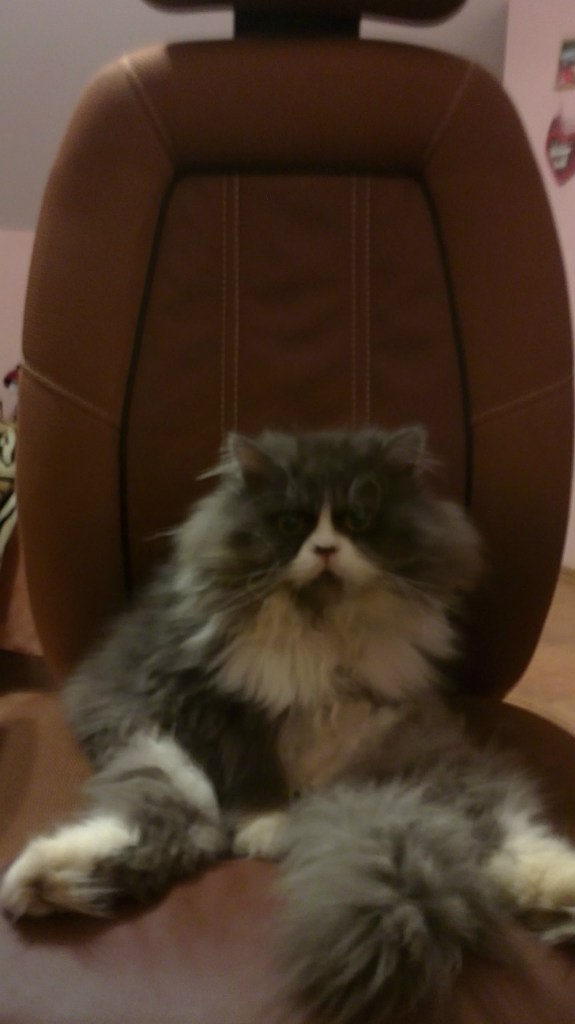 Валентина Карпюк | 