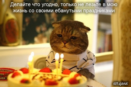 №89, Юлия Манул, Ростов-на-Дону №89, Юлия Манул, Ростов-на-Дону
