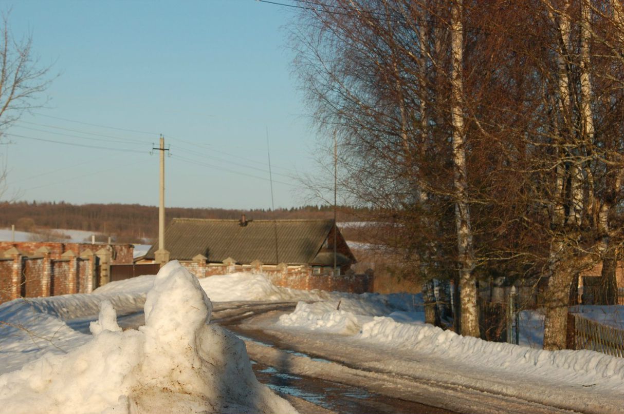 Роман Риммер | Санкт-Петербург