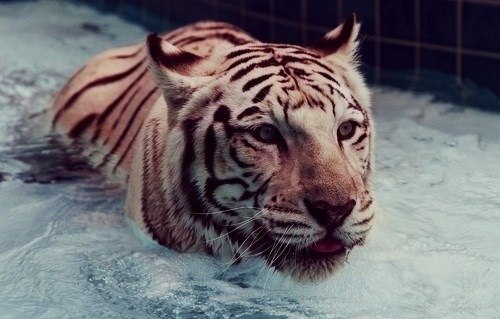 Серёга Силявин | Минск