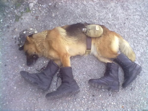 Володька Пешехонов | Саров