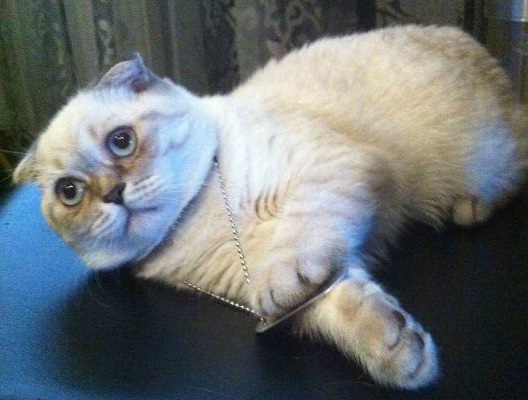 Мила Куликова | Москва