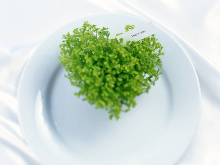 Марина Келлер | Boston