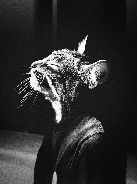 Андрей Раковский | Тула