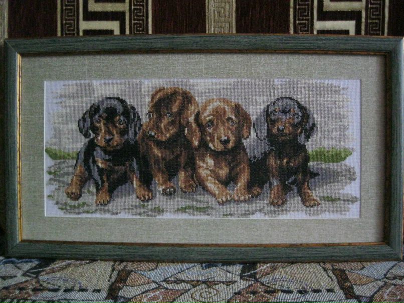 Алёна Боркалюк | Житомир