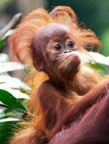 №100, Андрей Рыжиков, Киев №100, Андрей Рыжиков, Киев