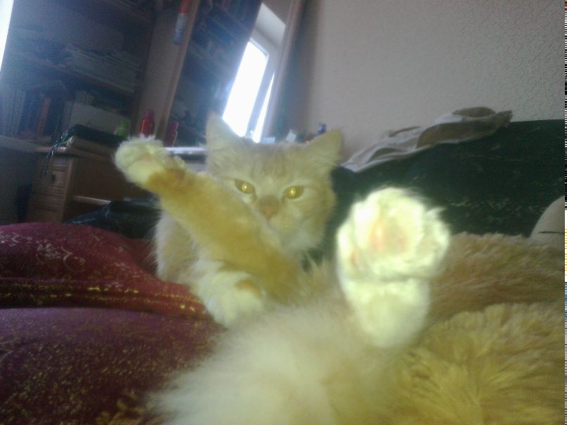 Аня Сарымсакова ~MOROZZZZ~ | Сыктывкар