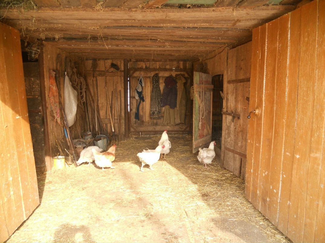 Екатерина Митрошина Олеговна | Уфа