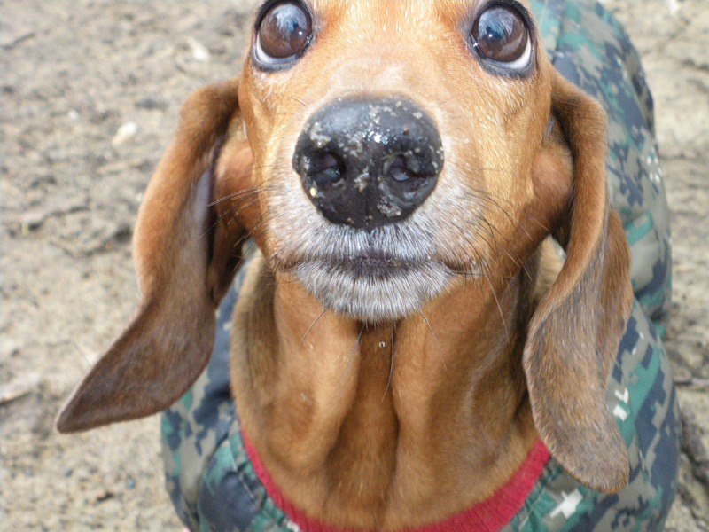 Алексей Дубовик (Шэф) | Владивосток