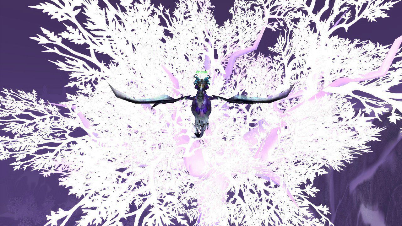 Жека Ляшенко | Запорожье