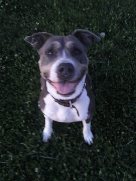 Ирина Терешонкова | Санкт-Петербург