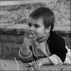 Александр Вартовский | 