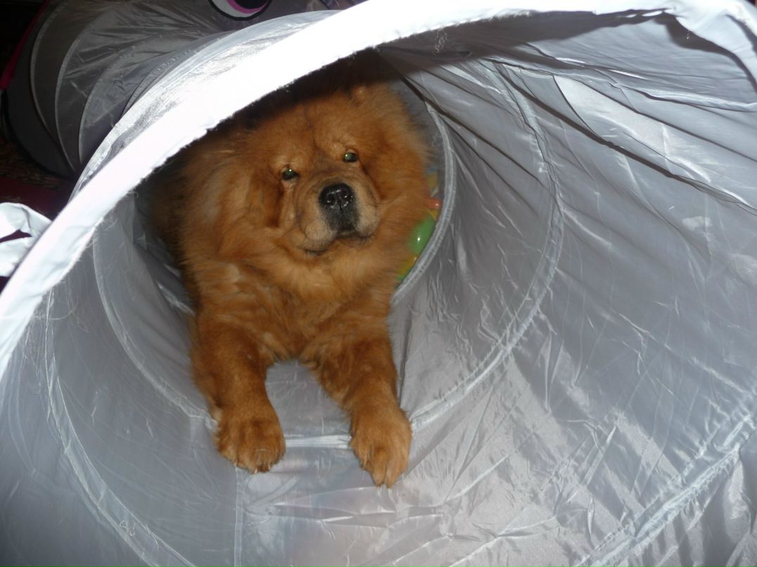 Кристина Калинина | Санкт-Петербург