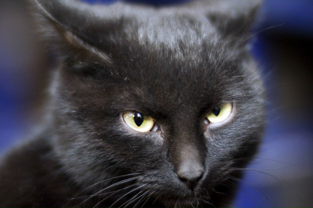 Александр Воронин | Пермь