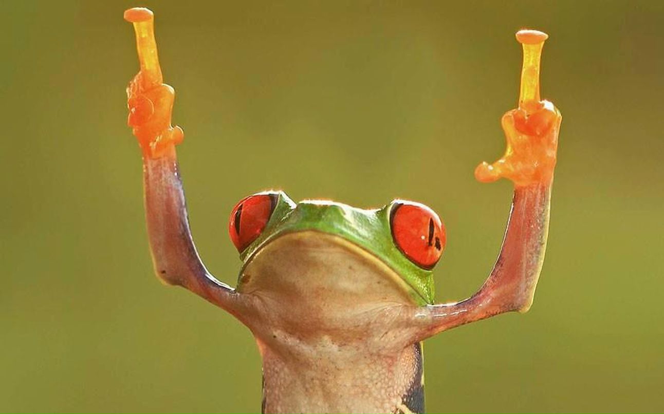 Максим Чищевой | Москва