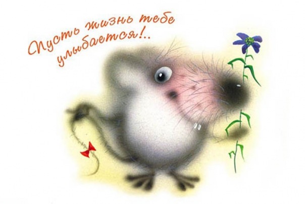 №37, Алена Мироняк, Санкт-Петербург, Россия №37, Алена Мироняк, Санкт-Петербург, Россия