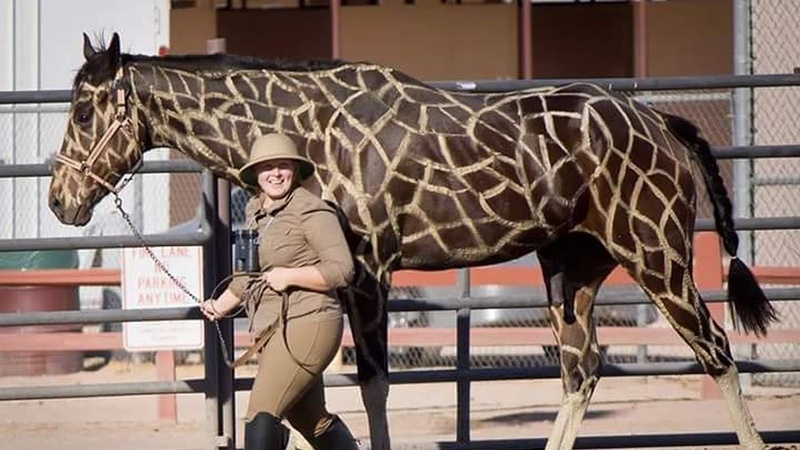 7 Cavalos Com Cores Mais Estranhos Do