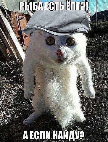 Александр Ильенко, Россия, Ростов-на-Дону