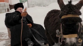 Жириновский на осле кидает зигу и захватывает Берлин